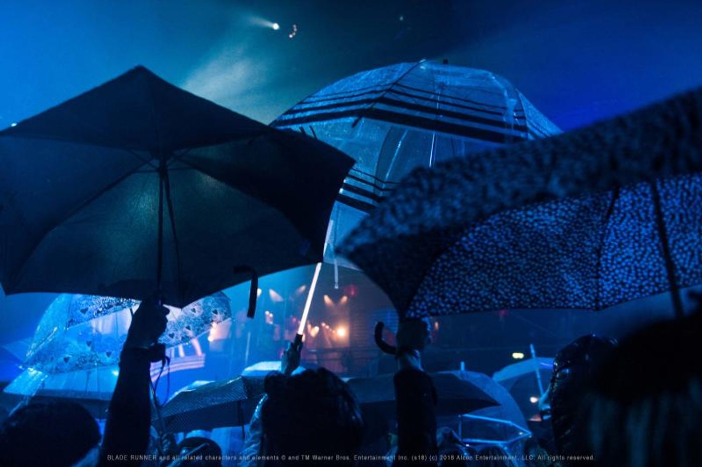 Interview: Matt Bennett on Secret Cinema presents ROMEO + JULIET  Image