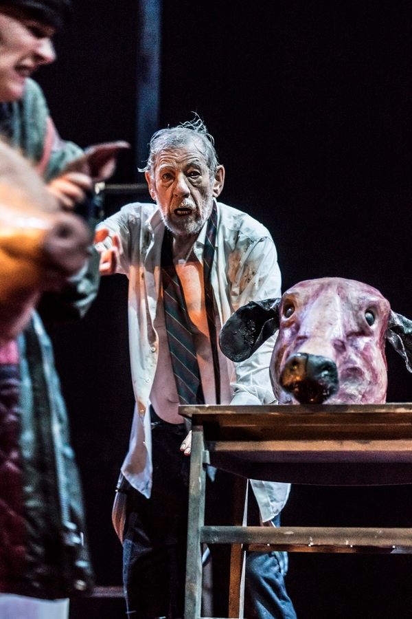 Photo Flash: First Look at All New Photos of Ian McKellen in KING LEAR — photo 6 of 12
