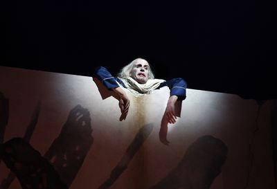 Rhys Ifans as the King Photo