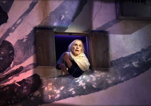 Rhys Ifans as the King Photo