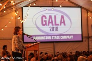 Julianne Boyd, Artistic Director Barrington Stage Co. Photo