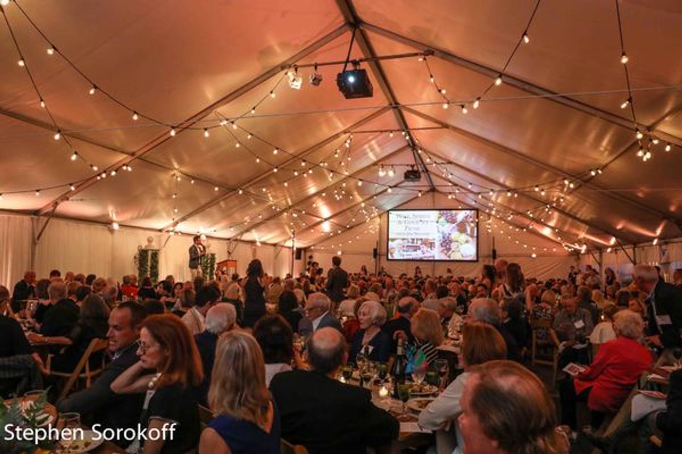 Photo Coverage: Laura Benanti Headlines Barrington Stage's 2018 Gala  Image