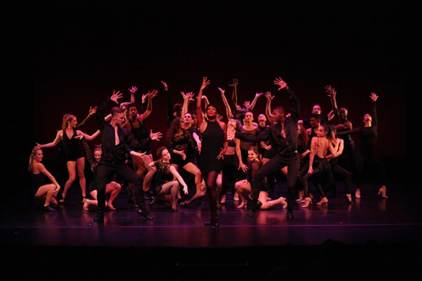 Review: DANCERS FOR GOOD BENEFIT FOR THE ACTORS FUND at Guild Hall East Hampton  Image