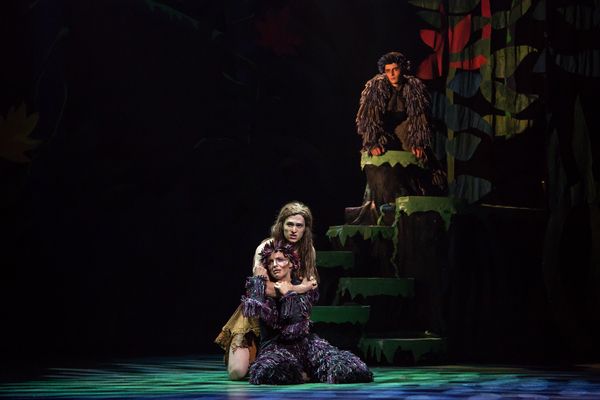 Photo Coverage: First Look at TARZAN in the Berkshires — photo 6 of 12