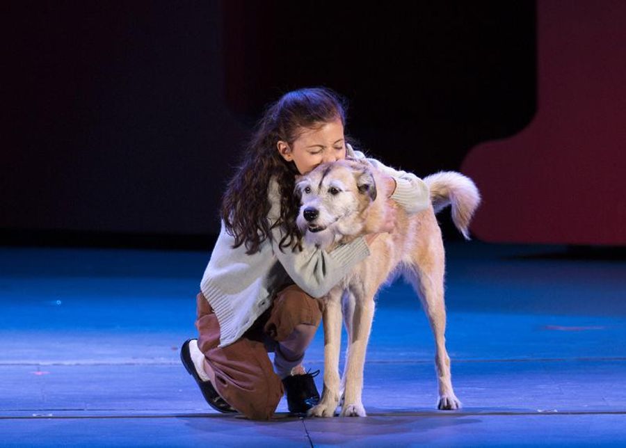 Review: Salonga, Grier, Hilty, Bart & Company Lead Charming Arden-directed ANNIE at the Hollywood Bowl Image