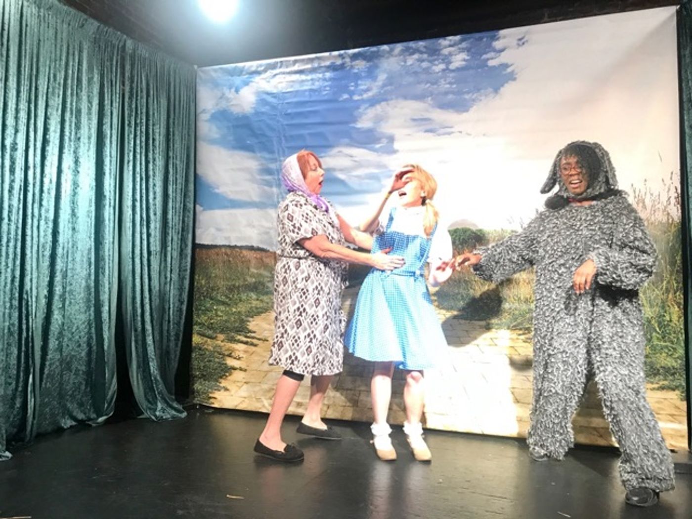 Review: THE WIZARD OF OZ at The Producer's Club Review: THE WIZARD OF OZ at The Producer's Club Image
