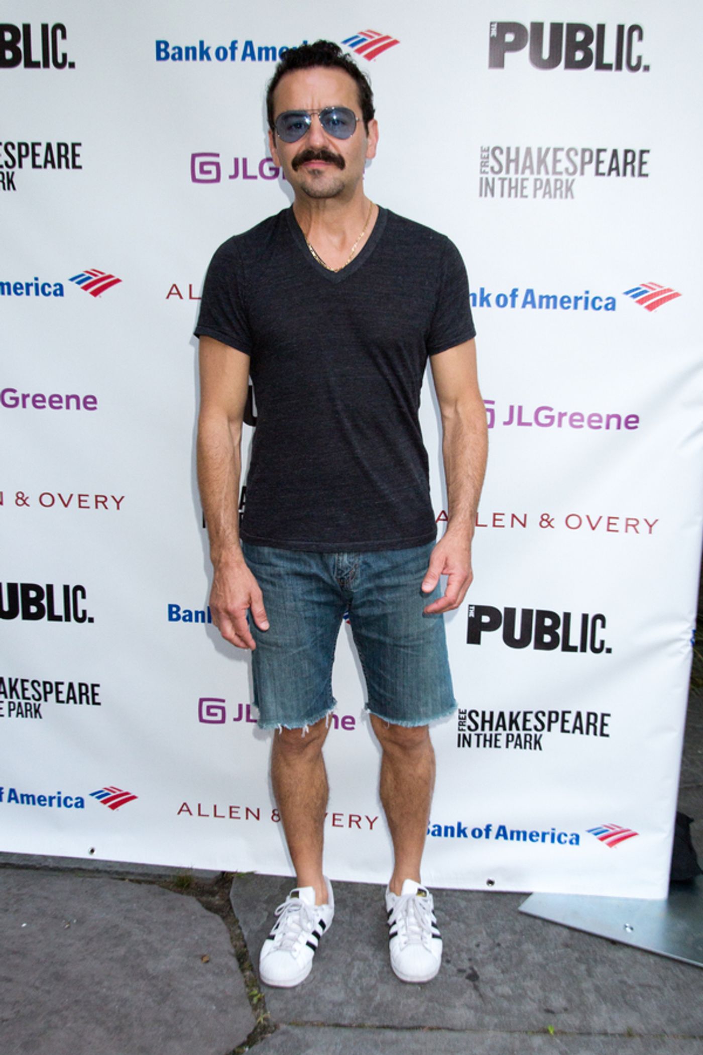 Photo Coverage: On the Red Carpet for Opening Night of TWELFTH NIGHT in the Park!  Image