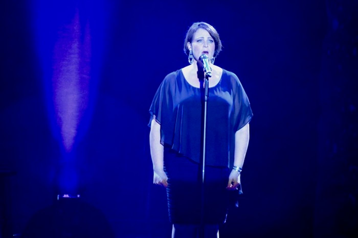 Photo Coverage: BROADWAY SHOWSTOPPERS Come to The Patchogue Theatre  Image