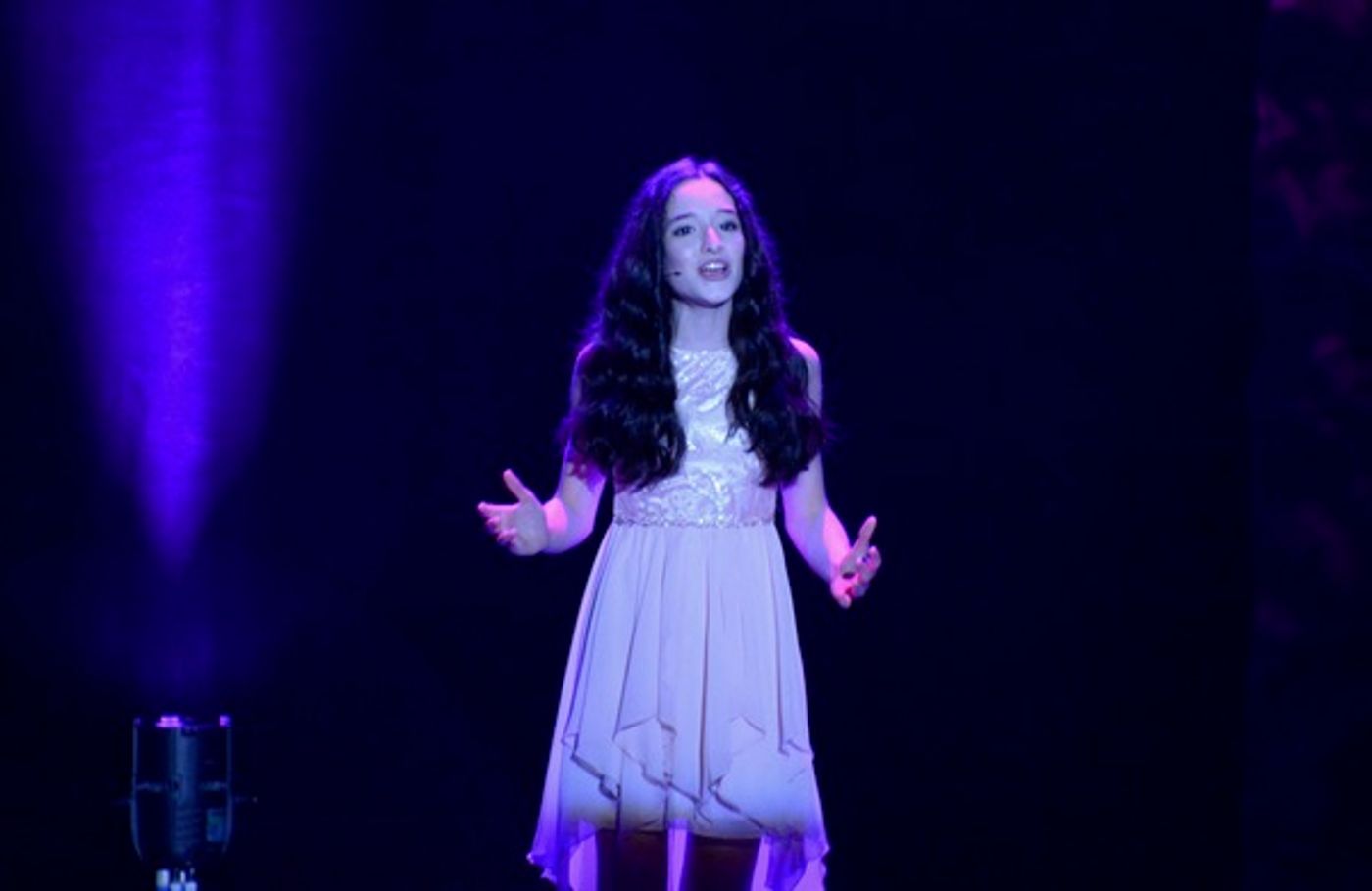 Photo Coverage: BROADWAY SHOWSTOPPERS Come to The Patchogue Theatre  Image