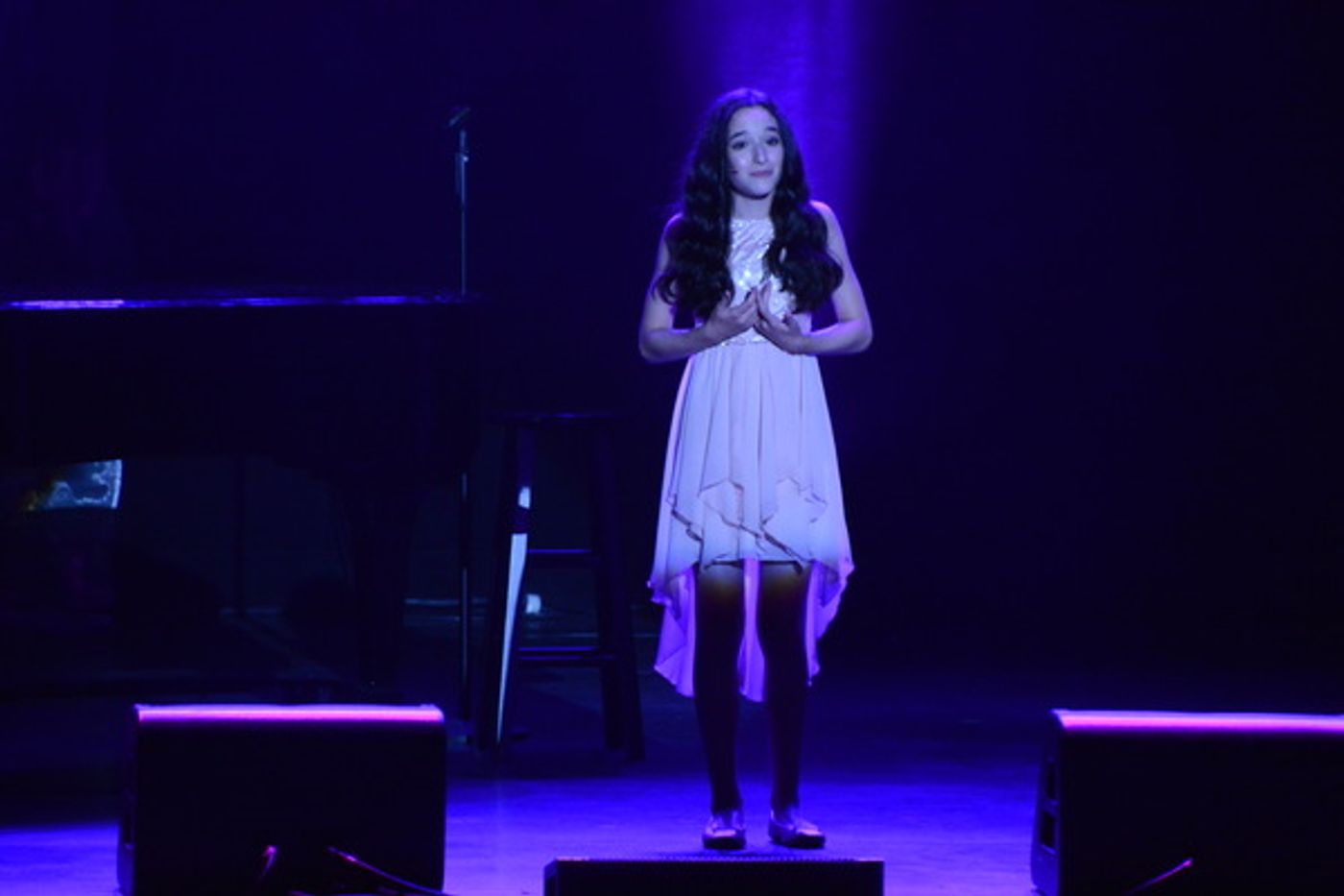 Photo Coverage: BROADWAY SHOWSTOPPERS Come to The Patchogue Theatre  Image