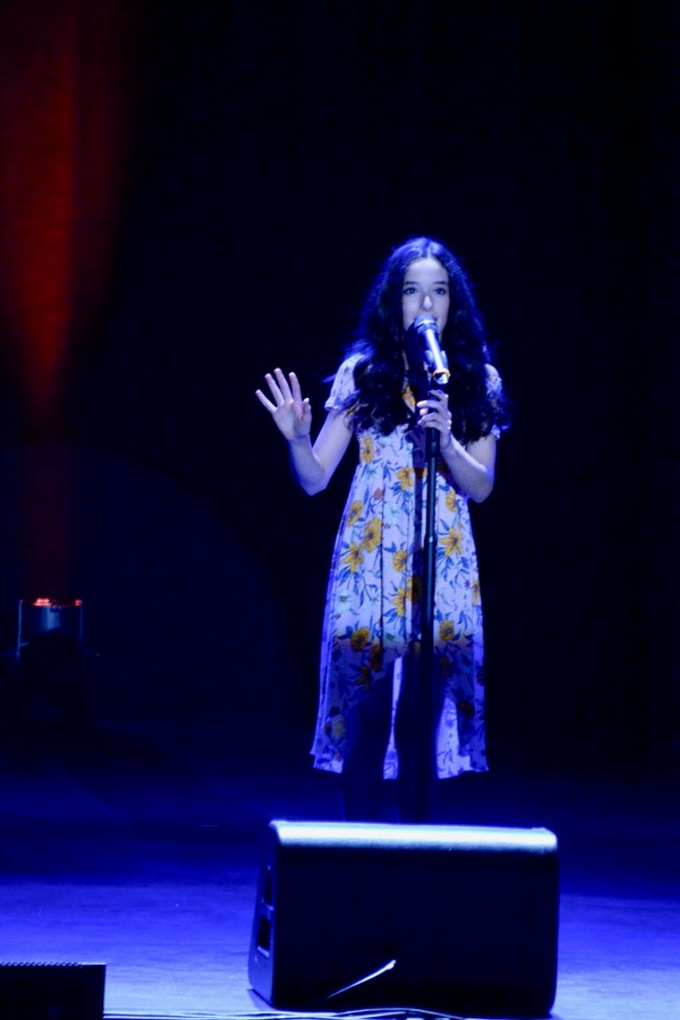 Photo Coverage: BROADWAY SHOWSTOPPERS Come to The Patchogue Theatre  Image