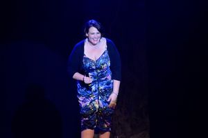 Lisa Howard @ BroadwayWorld Lisa Howard Photo