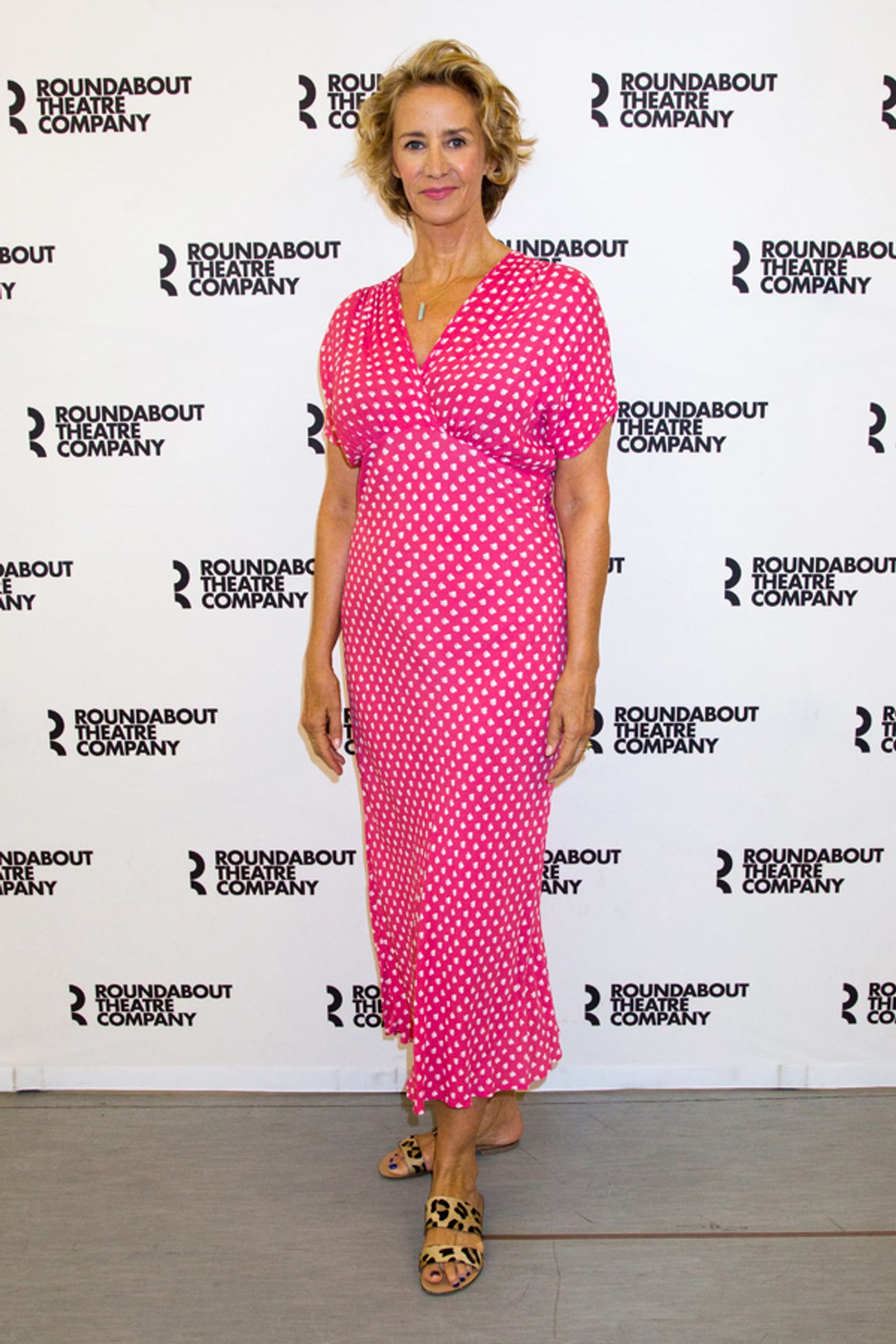 Photo Coverage: Janet McTeer & the Company of Broadway-Bound BERNHARDT/HAMLET Meet the Press!  Image