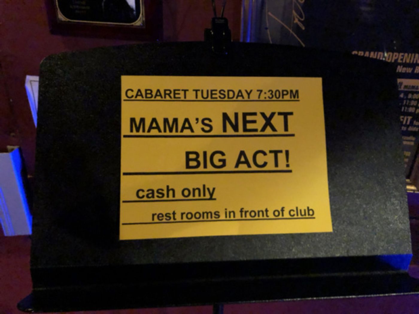 Photo Flash: Top 5 Picked At Don't Tell Mama's 'Mama's Next Big Act'!  Image