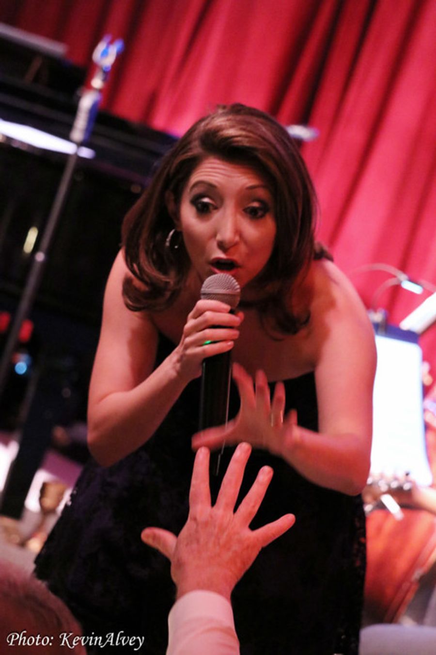Photo Flash: Christina Bianco Takes the Stage at Birdland  Image