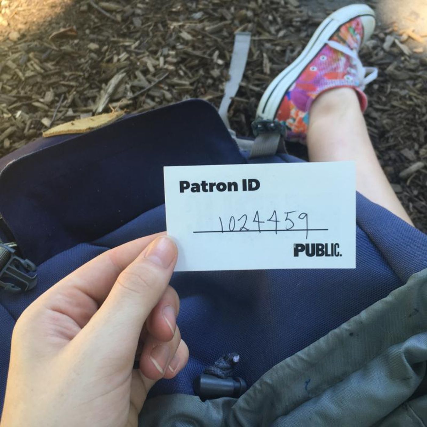 BWW First Person: What's It Like Waiting in Line for Shakespeare in the Park Tickets?  Image