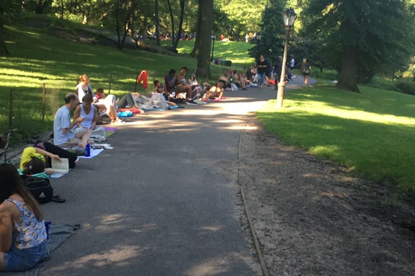 BWW First Person: What's It Like Waiting in Line for Shakespeare in the Park Tickets?  Image