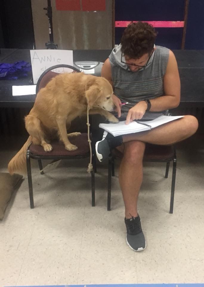 BWW Previews: Bet Your Bottom Dollar On ANNIE at Slidell Little Theatre  Image