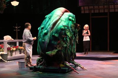 Jared Gertner as Seymour and Sarah Litzsinger as Audrey Photo