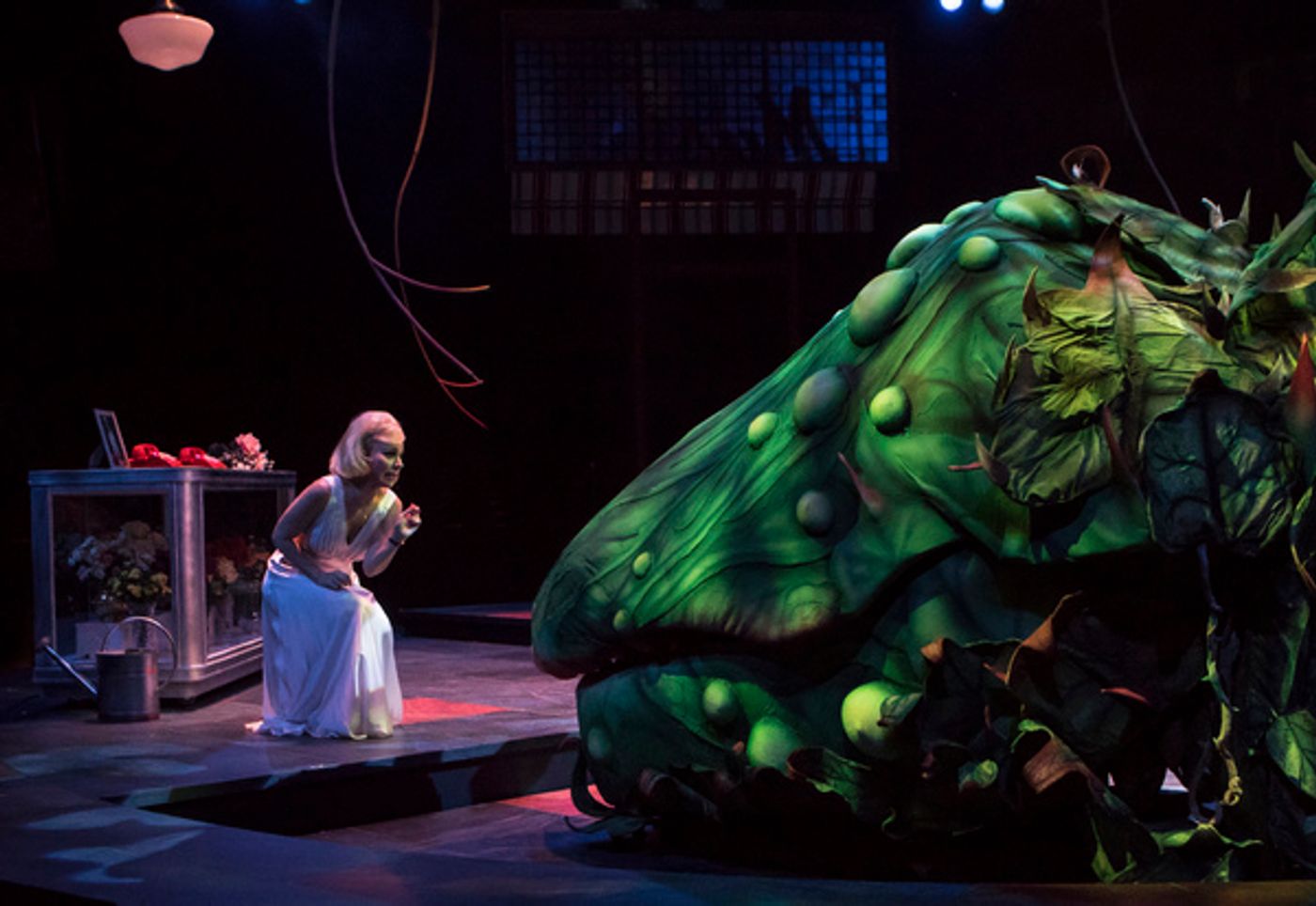Photo Flash: First Look at LITTLE SHOP OF HORRORS at Sacramento Music Circus  Image