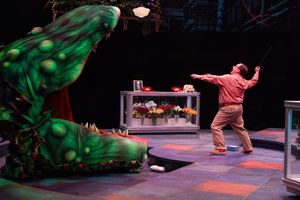 Jared Gertner as Seymour @ BroadwayWorld Jared Gertner as Seymour Photo