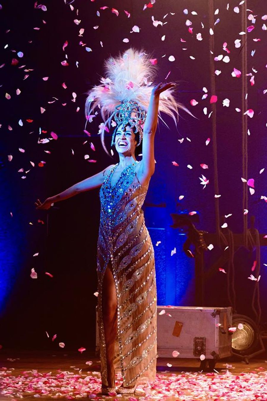 Review: JOSEPHINE BAKER, A VENUS NEGRA at Teatro SESC 24 De Maio Image