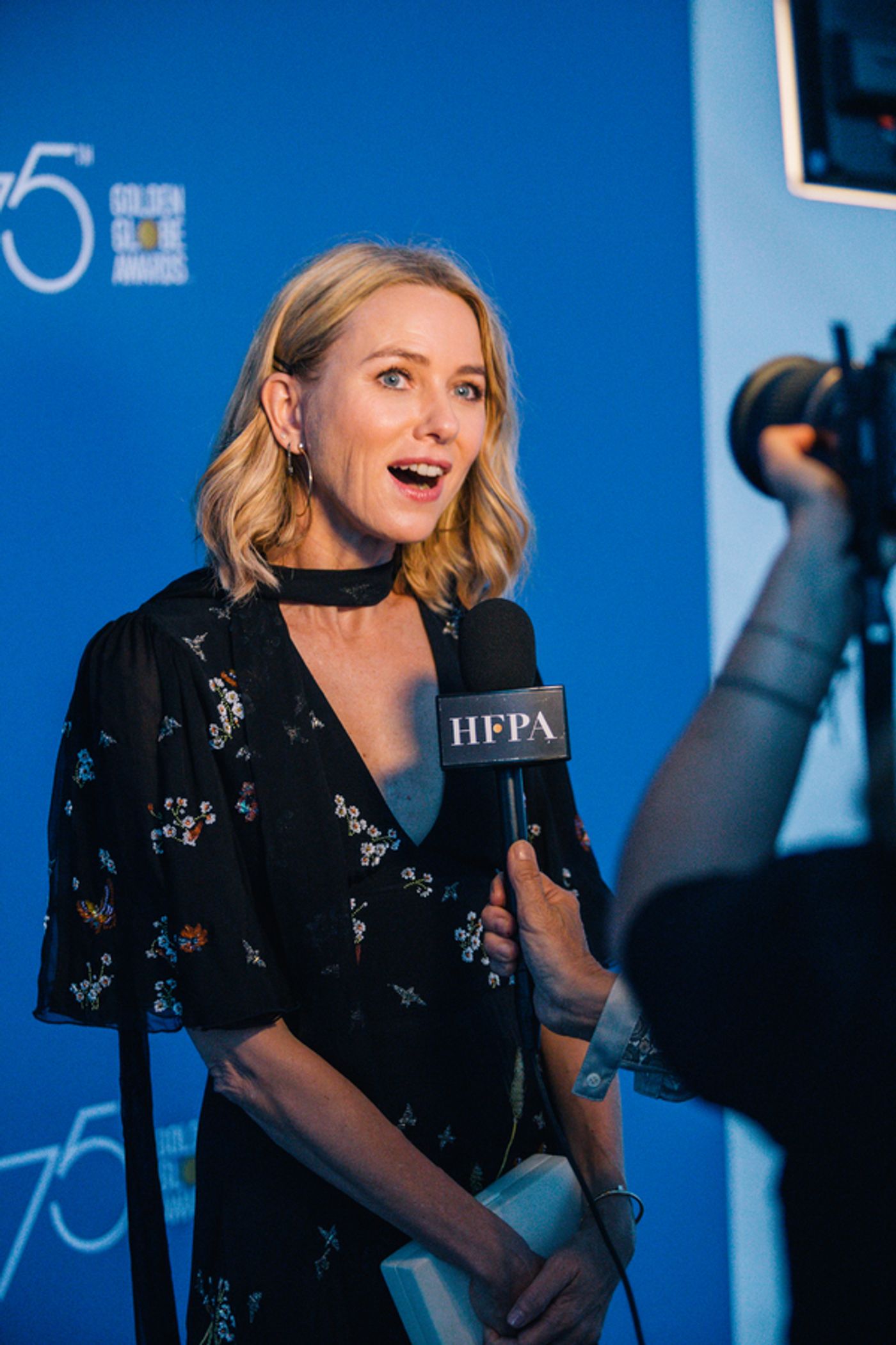 Photo Coverage: See Naomi Watts, Bradley Cooper and Luca Guadagnino at the HFPA's Annual Reception in Venice Photo Coverage: See Naomi Watts, Bradley Cooper and Luca Guadagnino at the HFPA's Annual Reception in Venice Image