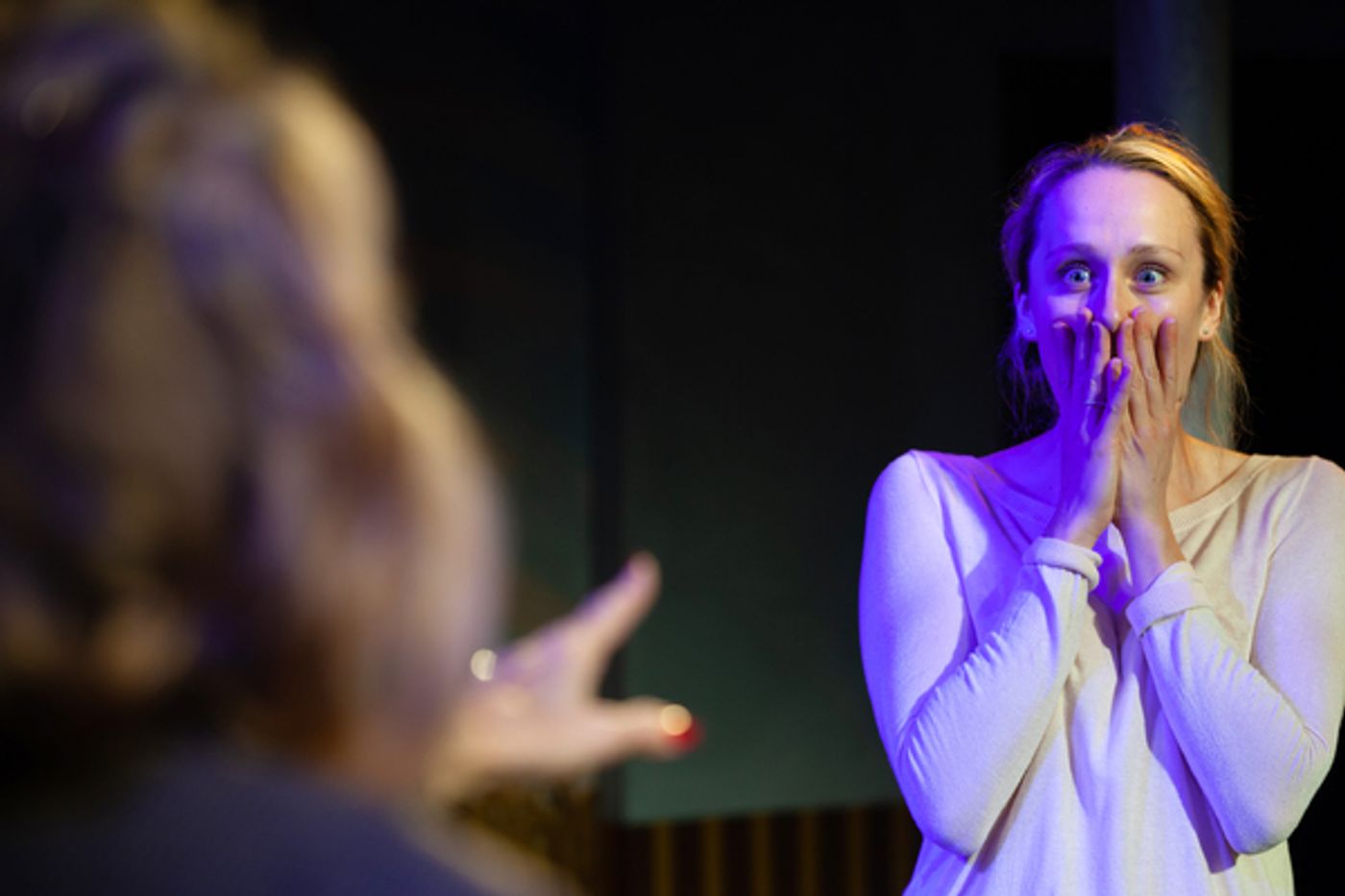 Photo Flash: First Look at Theatre NOVA's THE TOTALITARIANS  Image