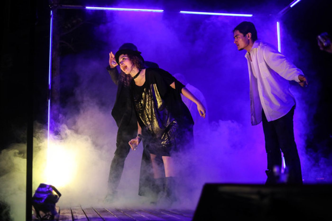 Photo Flash: Serenbe Playhouse's THE SEAGULL  Image