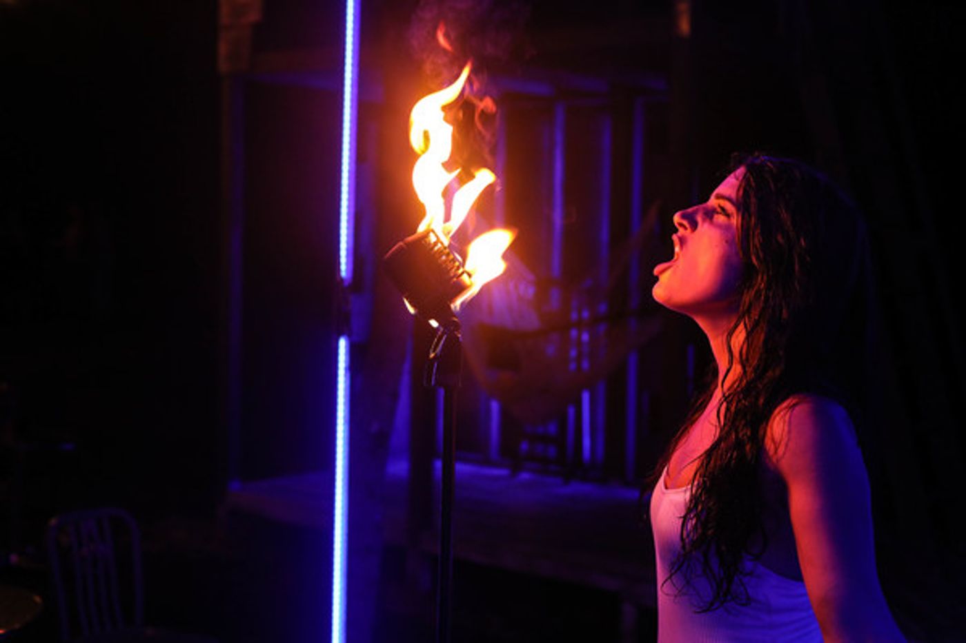 Photo Flash: Serenbe Playhouse's THE SEAGULL  Image