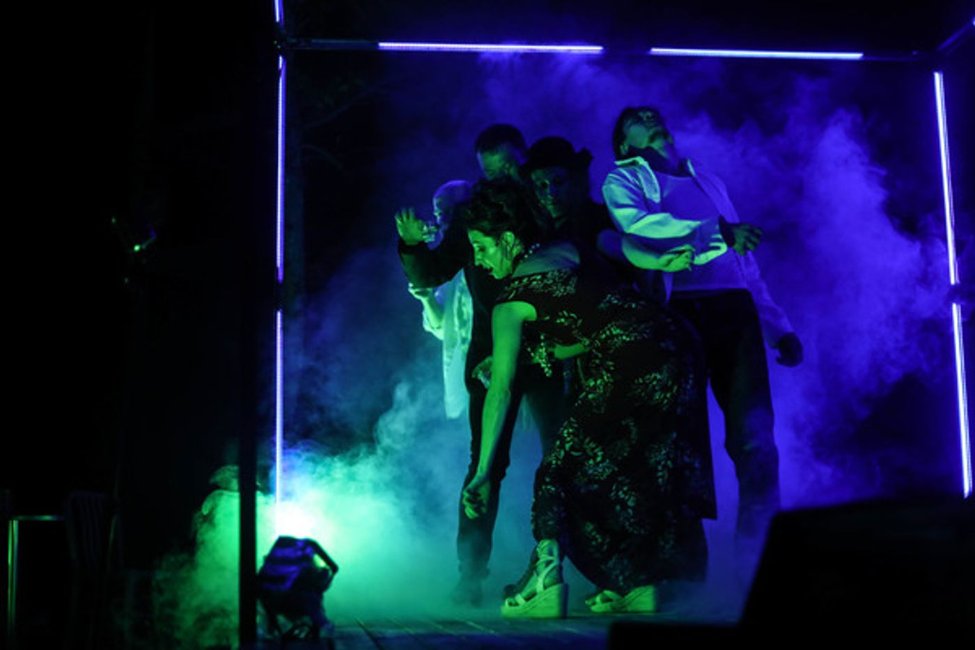 Photo Flash: Serenbe Playhouse's THE SEAGULL  Image