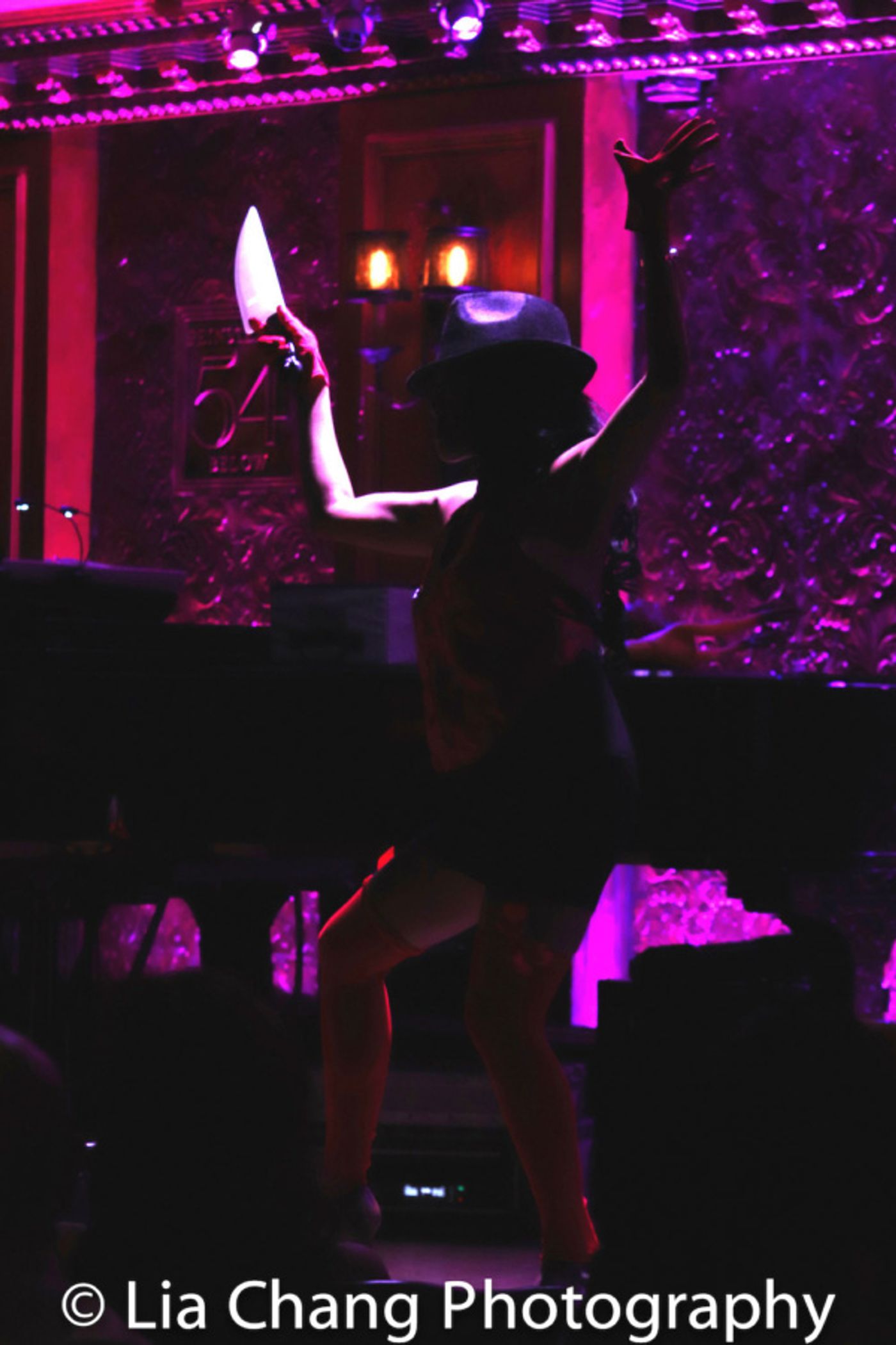 Photo Flash: Broadway Vet  J. Elaine Marcos Debuts One Woman Show WHAT I DID FOR...A JOB At Feinstein's/54 Below  Image