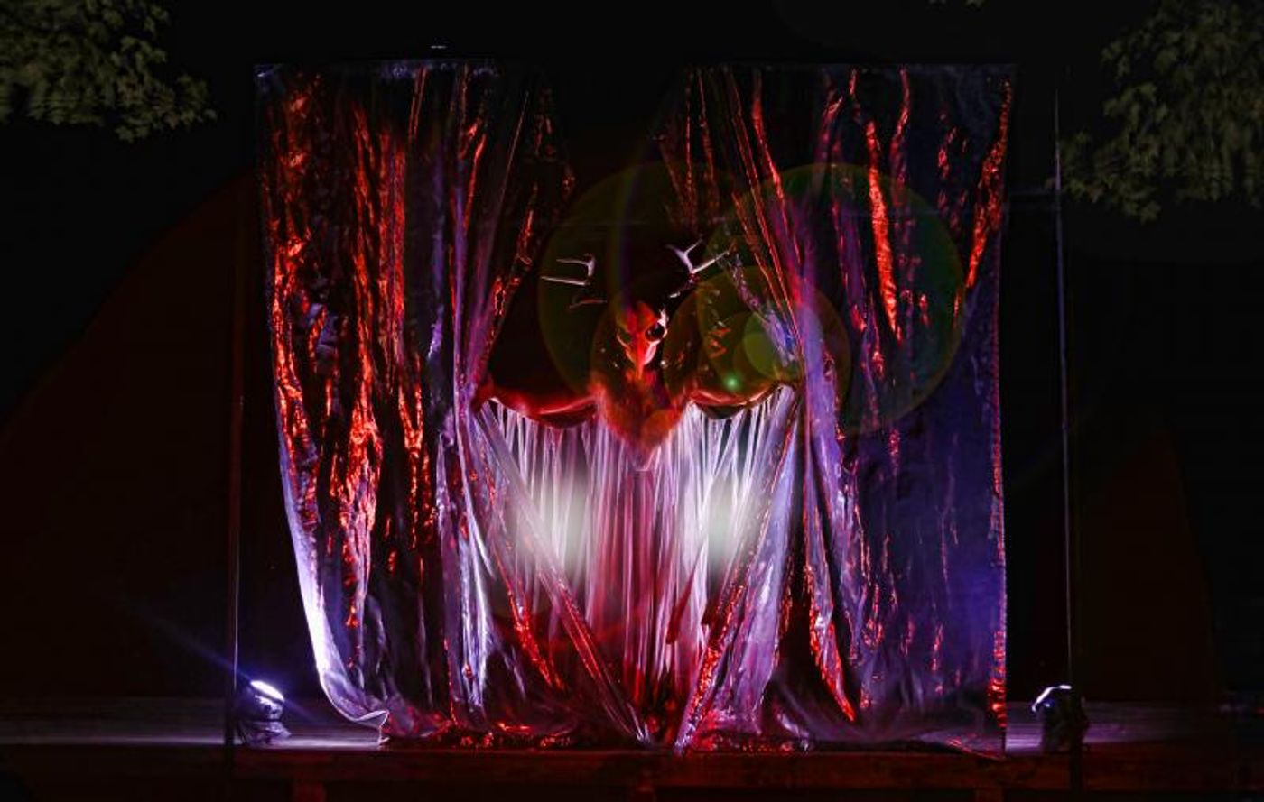 Review: THE SEAGULL at Serenbe Playhouse  Image