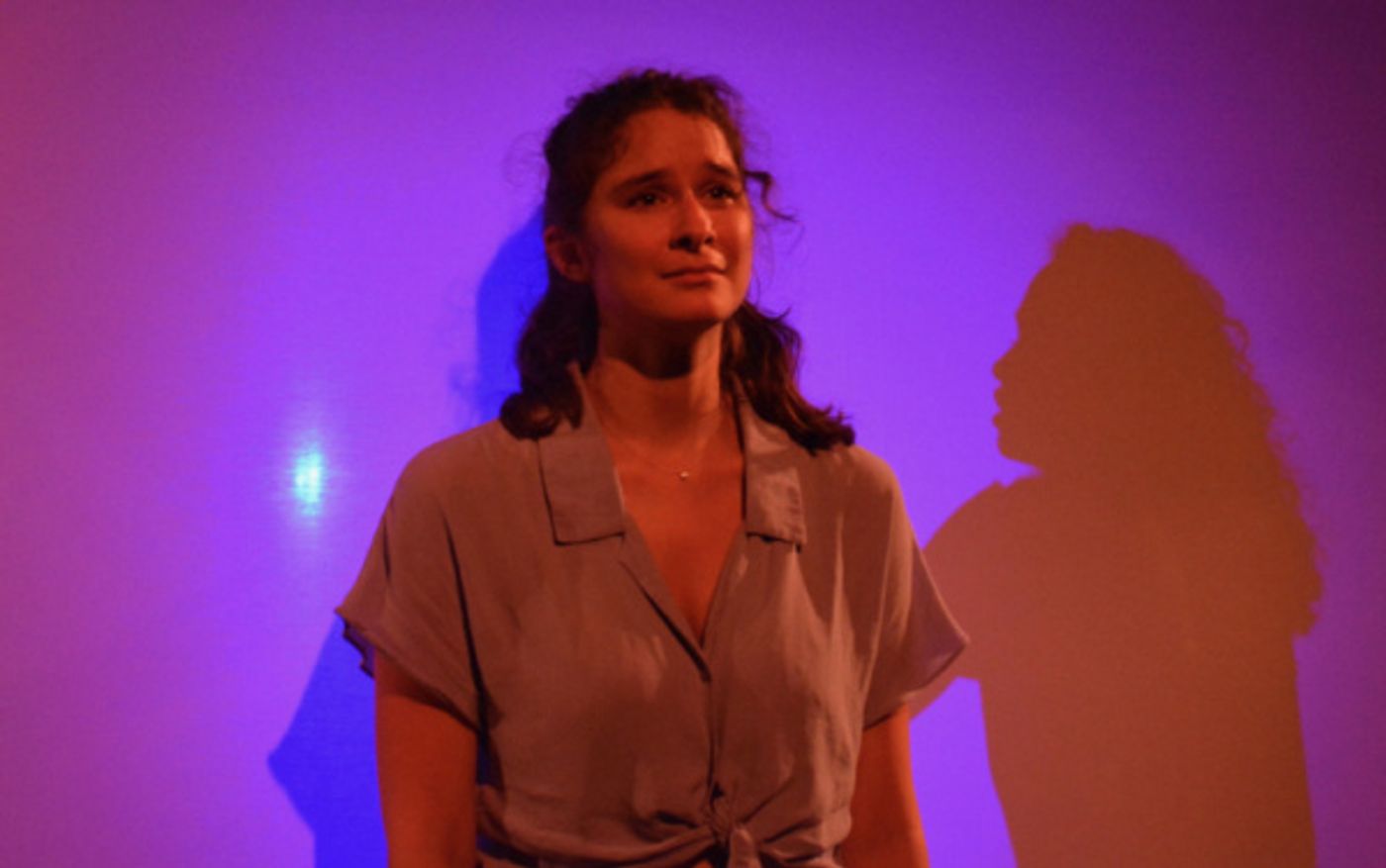 Photo Flash: AND THE TREE FALLS DOWN Goes Up As A Part Of The Center At West Park's Furnace Festival  Image