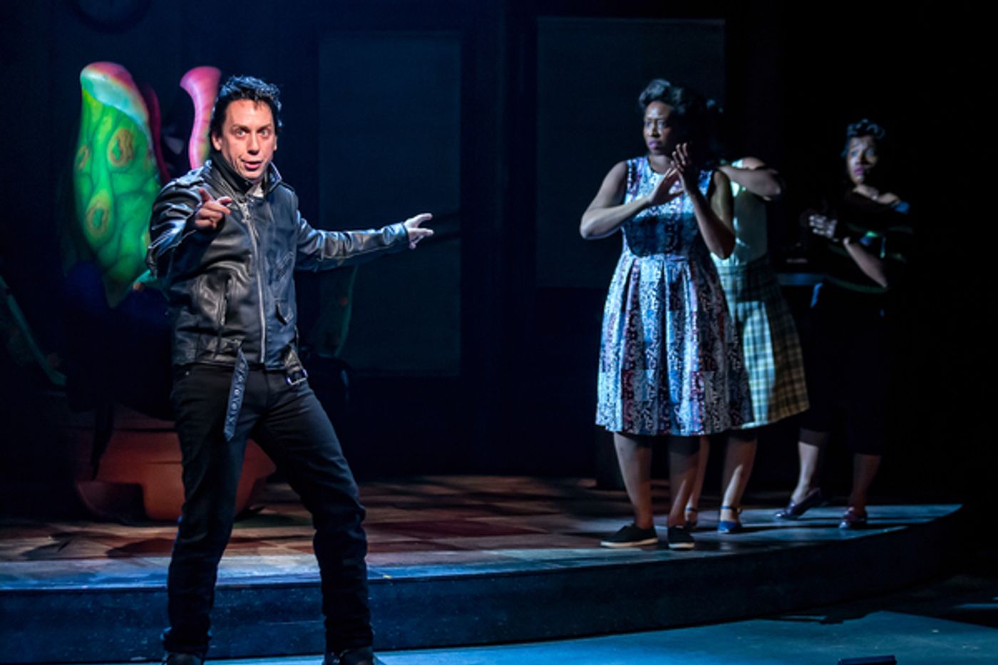 Photo Flash: First Look at LITTLE SHOP OF HORRORS At The Drury Lane Theatre  Image