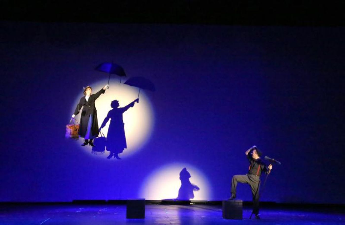 Review: Springhouse Theatre's MARY POPPINS Features Strong Leading Performances  Image