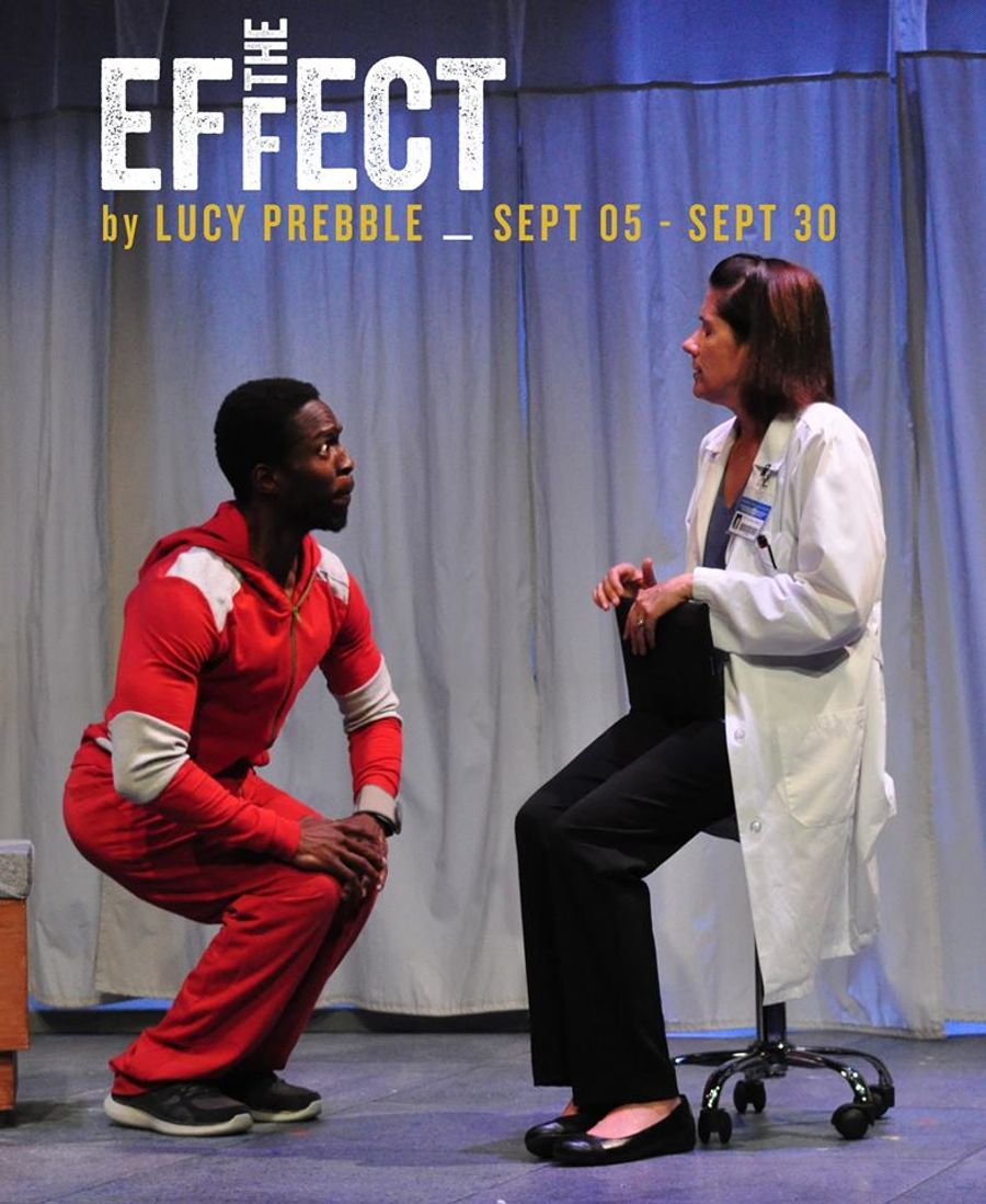 Review: THE EFFECT at UNICORN THEATRE In Kansas City Image