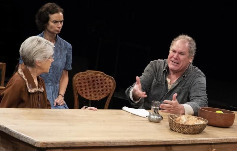 Review:  Richard Nelson Gives UNCLE VANYA The Rhinebeck Treatment  Image