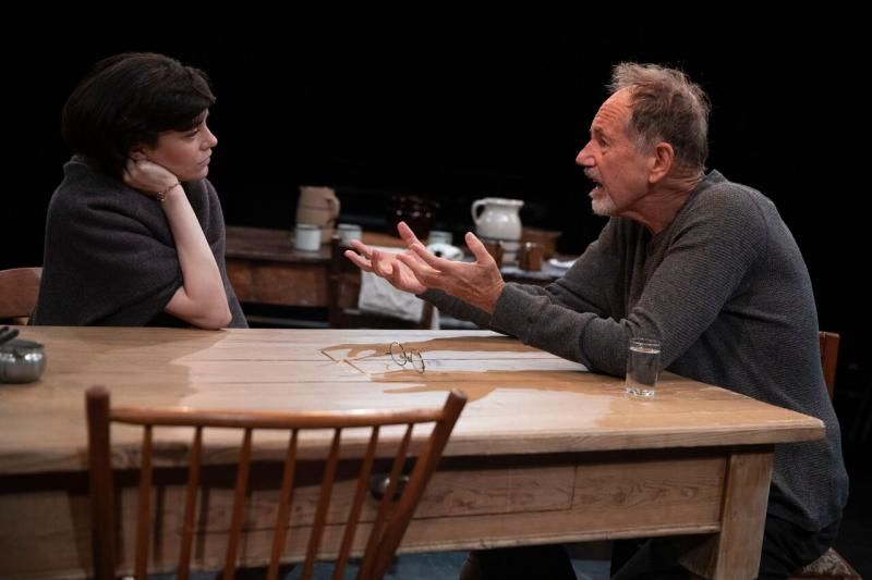 Review:  Richard Nelson Gives UNCLE VANYA The Rhinebeck Treatment  Image