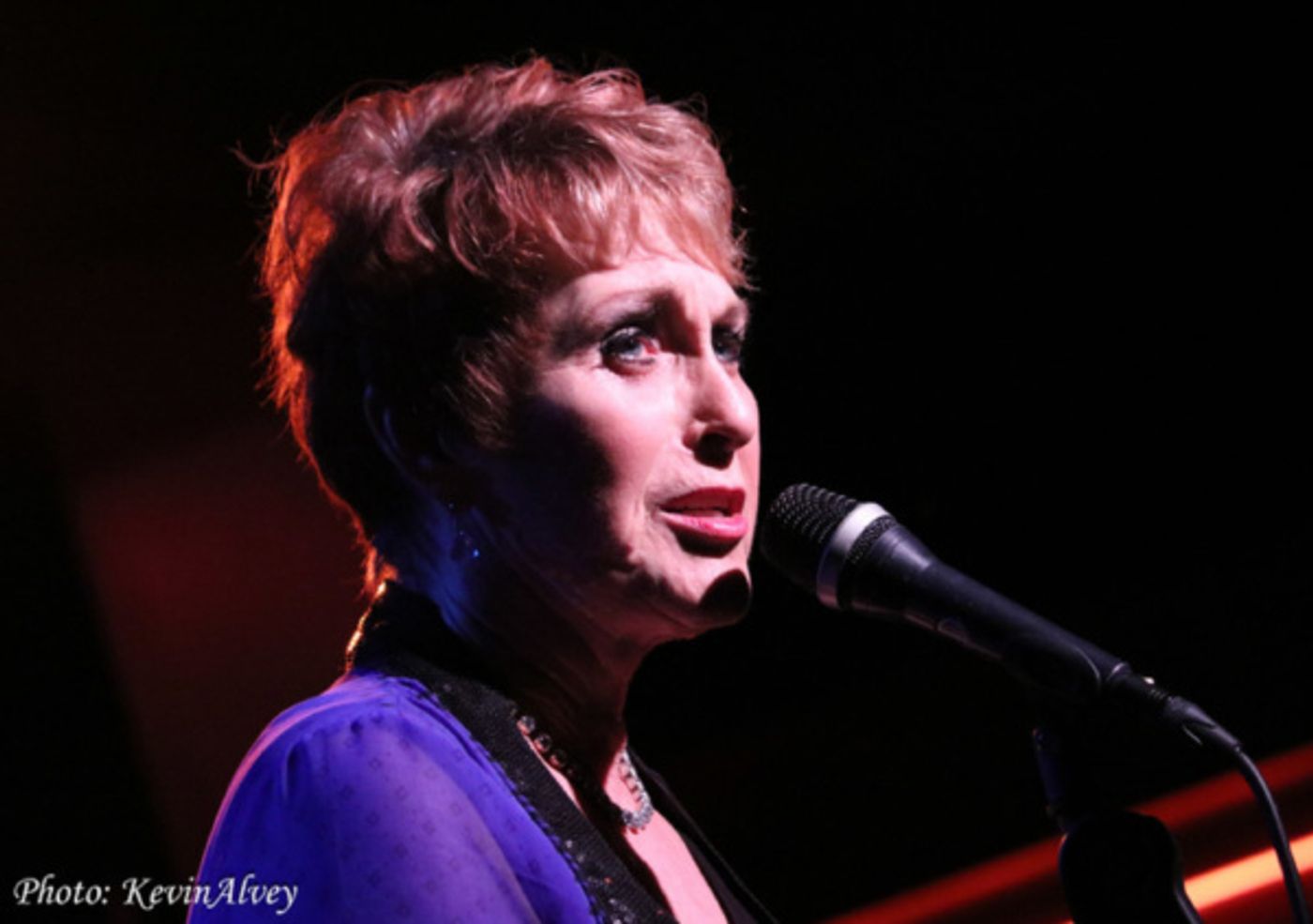 Photo Flash: Amanda McBroom Comes to Broadway at Birdlands  Image