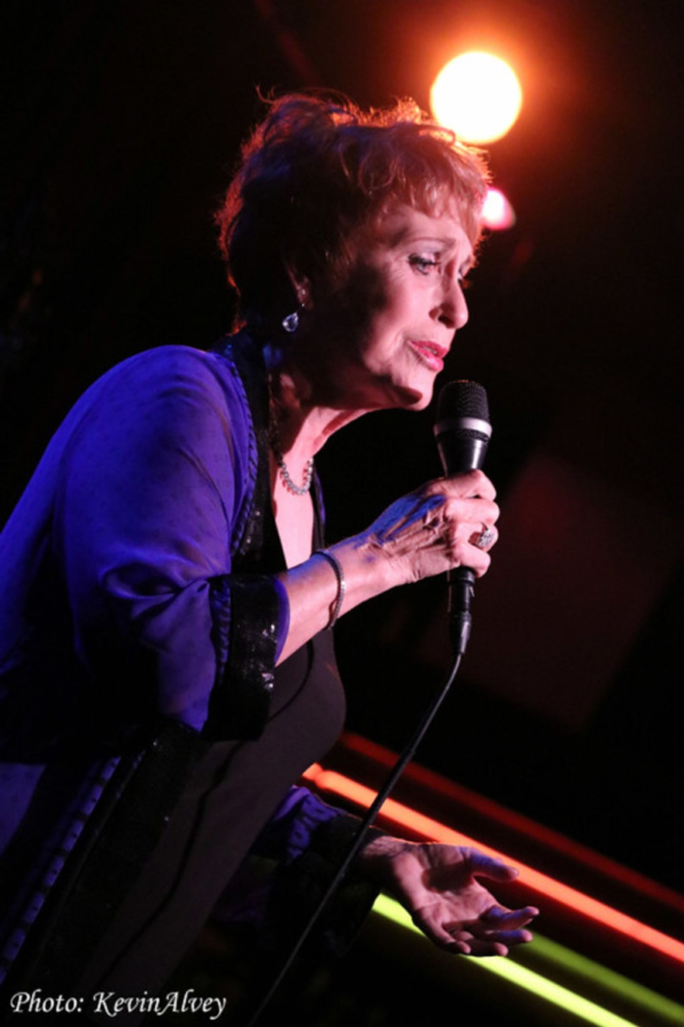Photo Flash: Amanda McBroom Comes to Broadway at Birdlands  Image