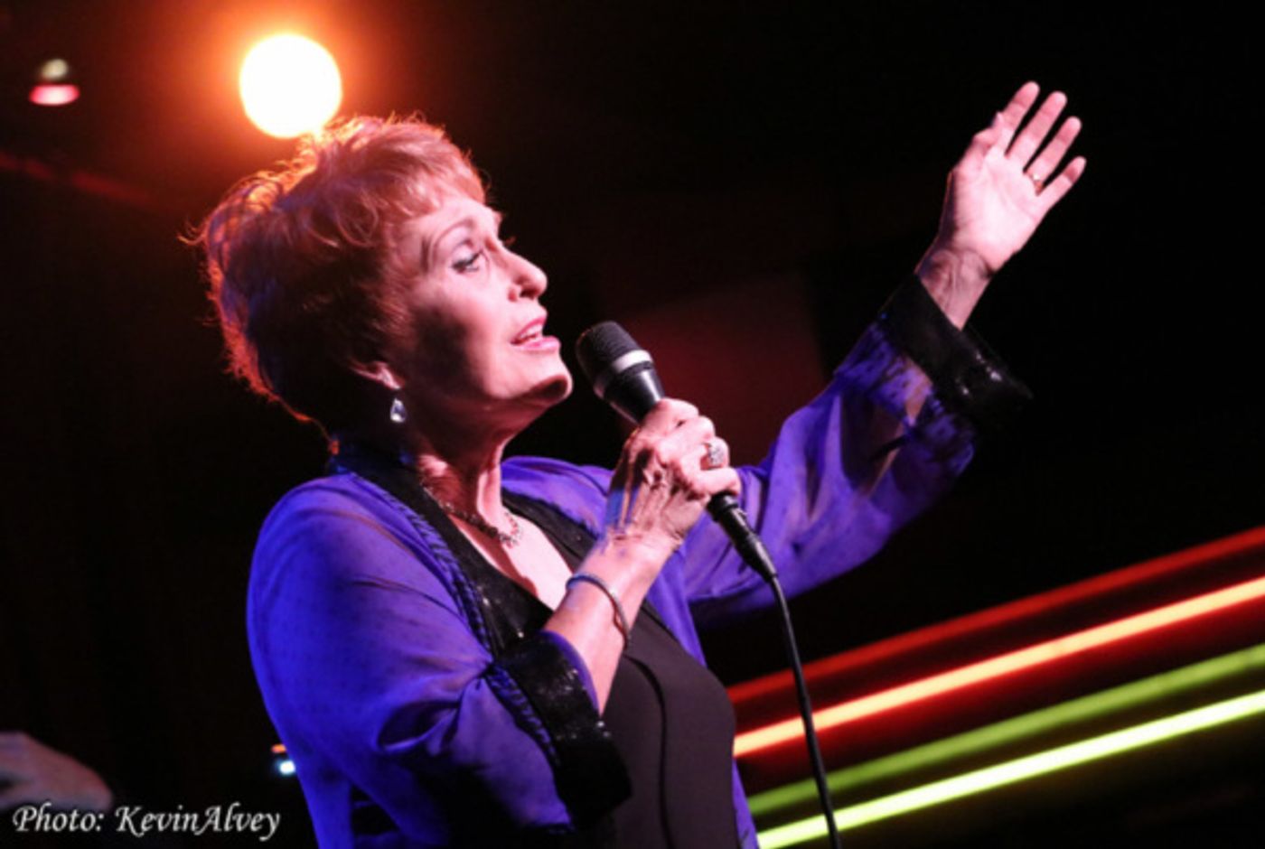 Photo Flash: Amanda McBroom Comes to Broadway at Birdlands  Image