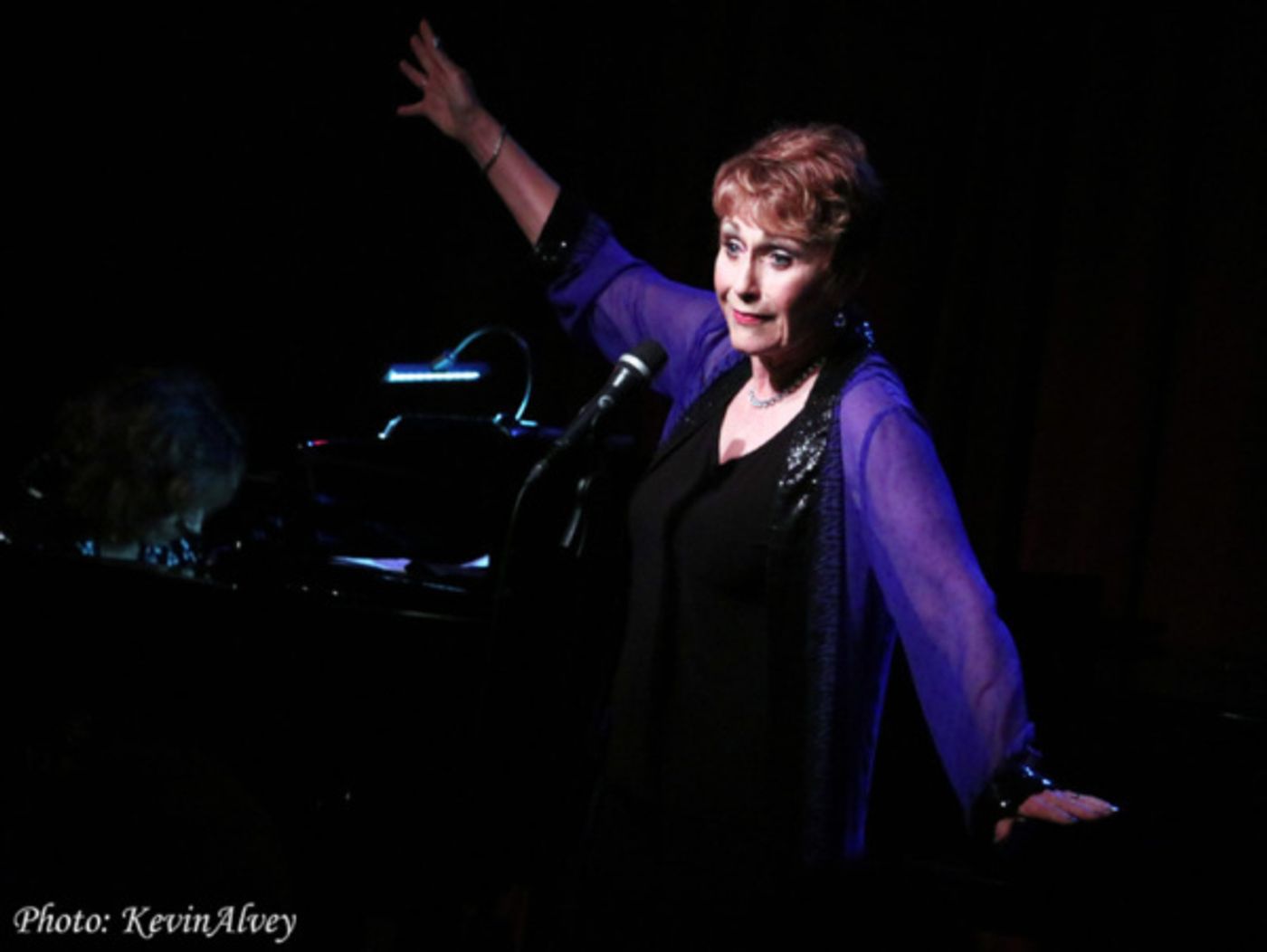 Photo Flash: Amanda McBroom Comes to Broadway at Birdlands  Image