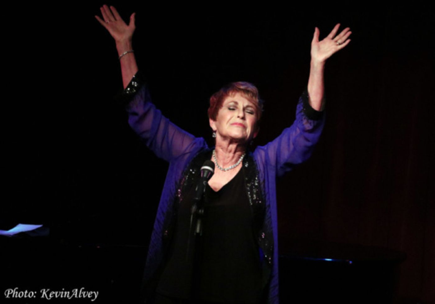 Photo Flash: Amanda McBroom Comes to Broadway at Birdlands  Image