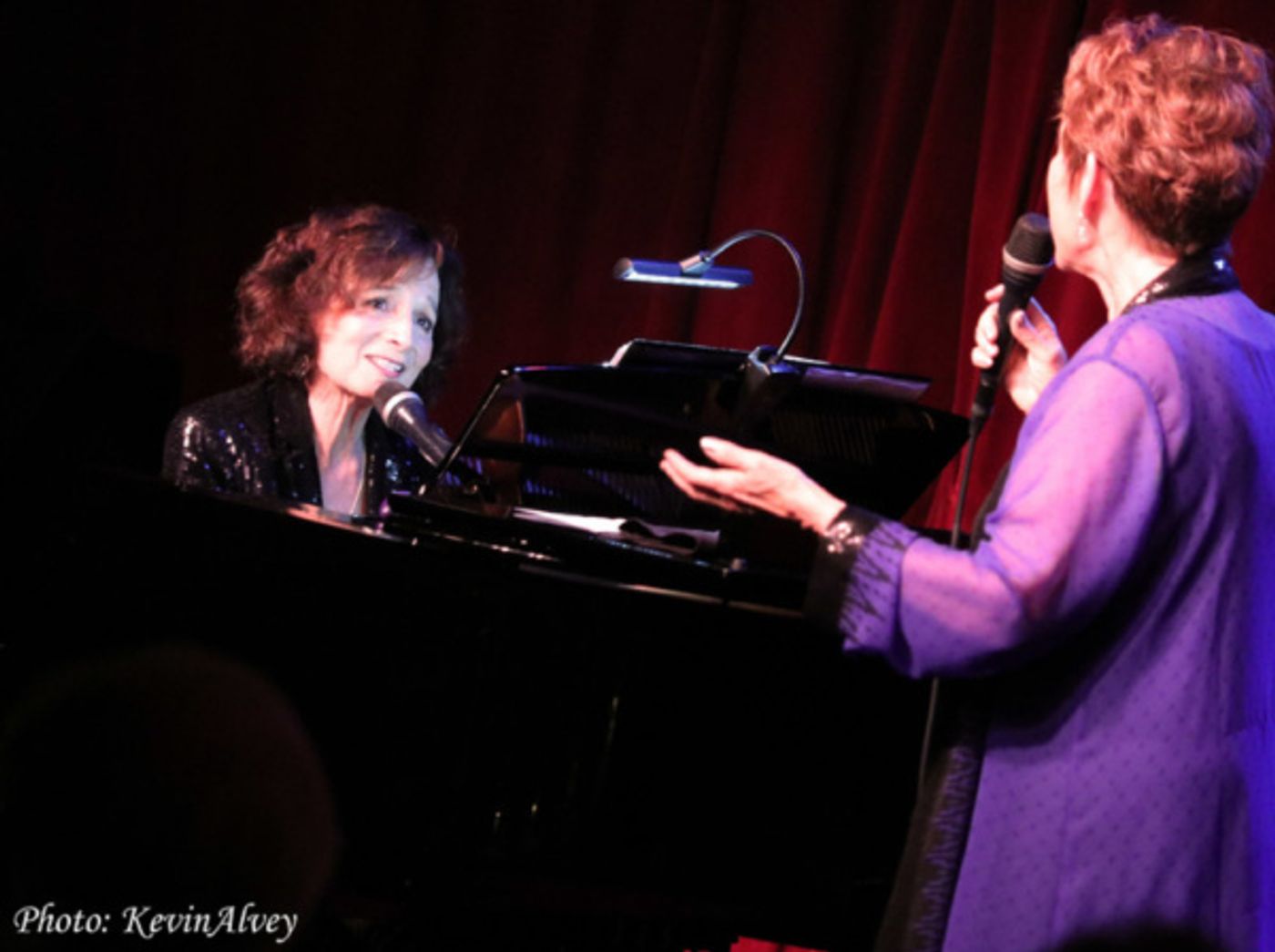 Photo Flash: Amanda McBroom Comes to Broadway at Birdlands  Image