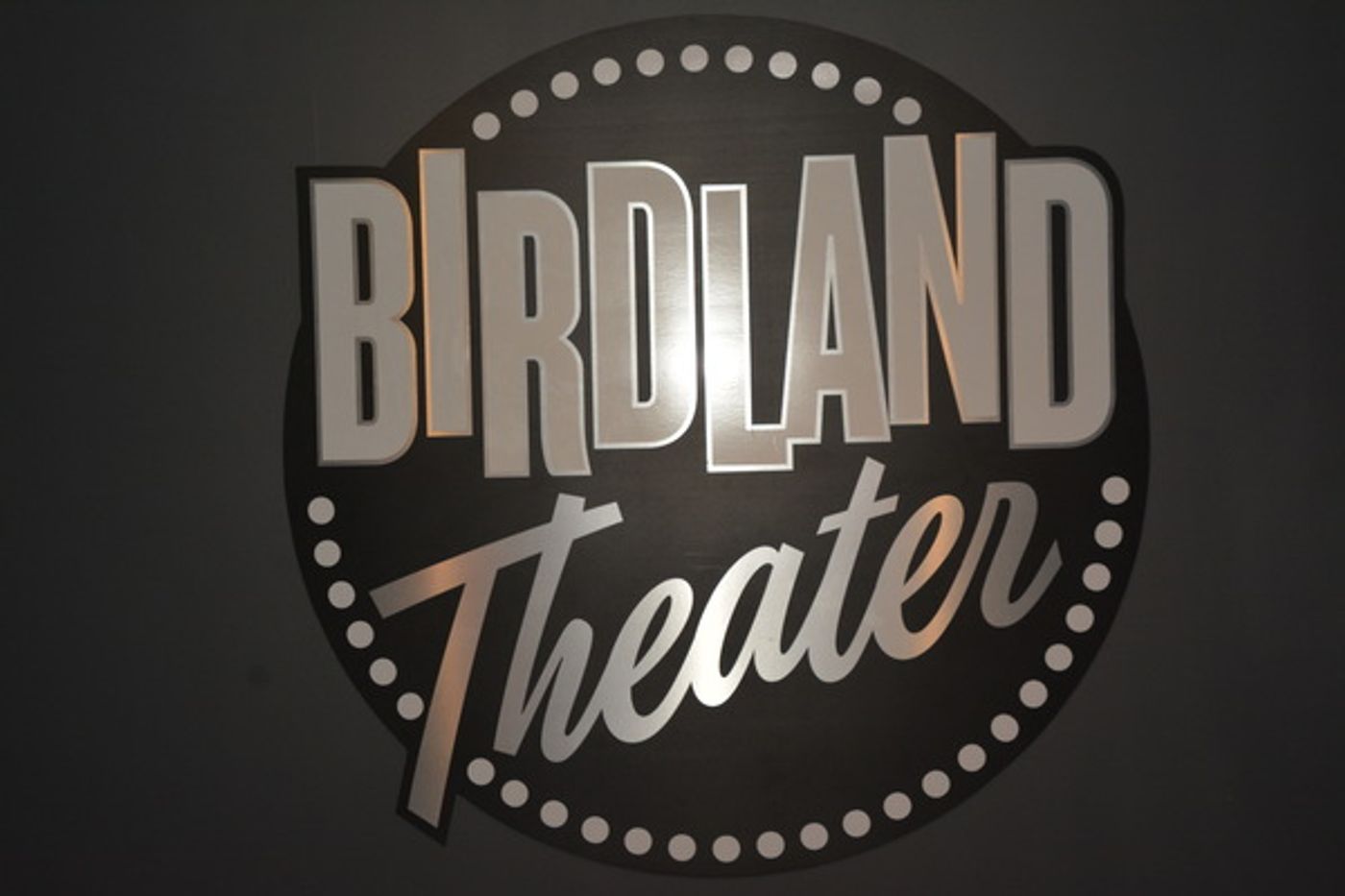 Photo Coverage: Max von Essen, Billy Stritch, and More Perform at the Official Opening of the Birdland Theater  Image