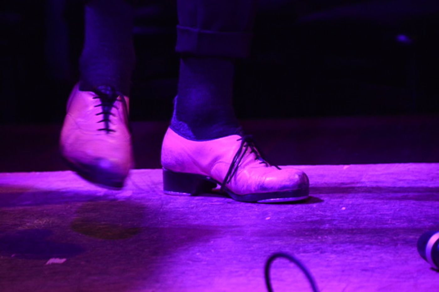 Photo Coverage: Max von Essen, Billy Stritch, and More Perform at the Official Opening of the Birdland Theater  Image