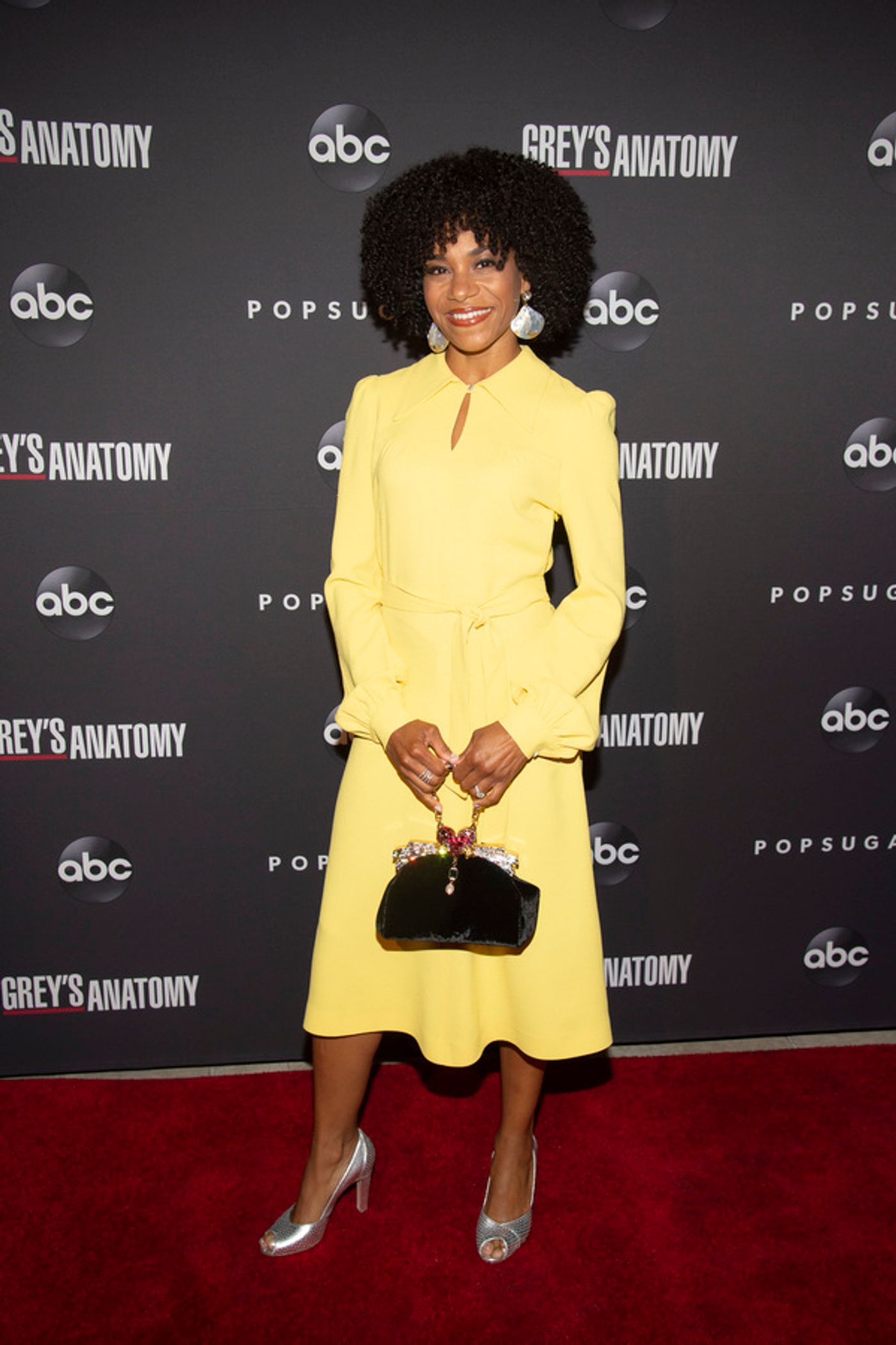 Photo Flash: The Cast of GREY'S ANATOMY Celebrates Season 15 with Opening Night Event  Image