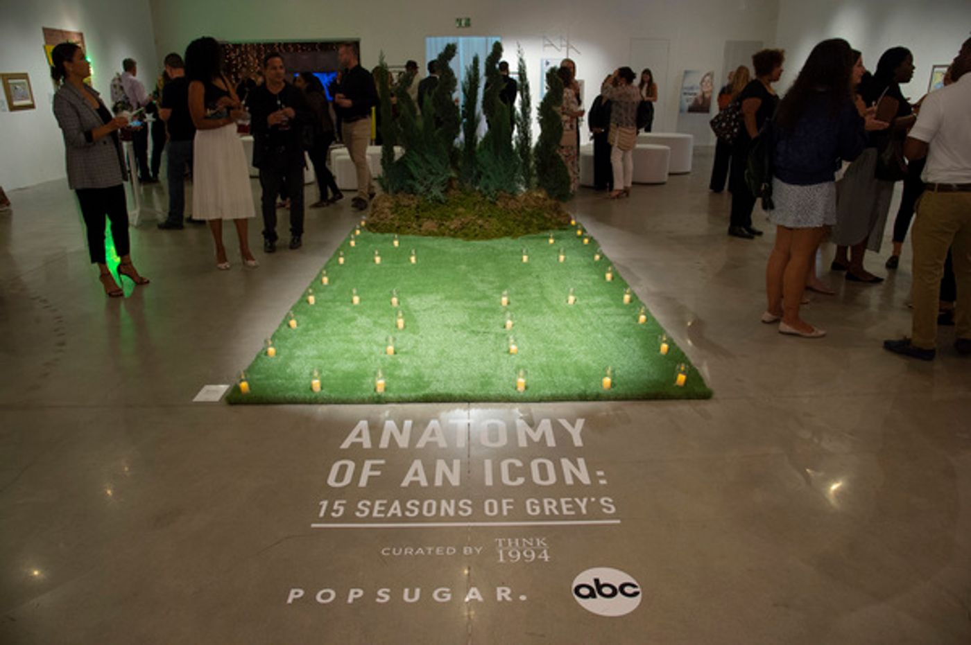 Photo Flash: The Cast of GREY'S ANATOMY Celebrates Season 15 with Opening Night Event  Image