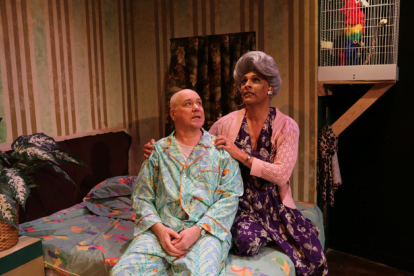 Photo Flash: First Look at Hell In A Handbag's THE ARTIFICIAL JUNGLE  Image